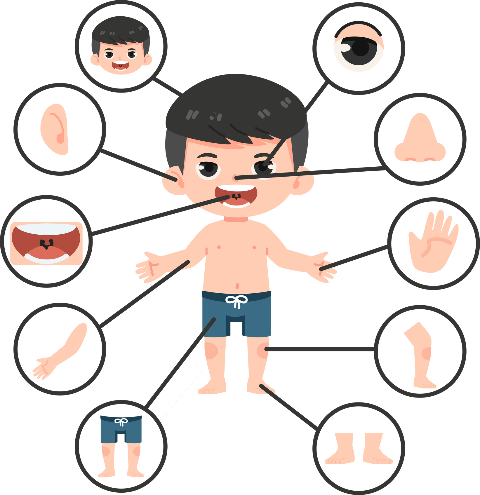 Children with different parts of the body for teaching